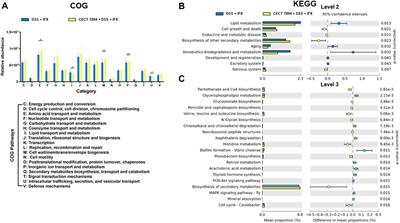 Bifidobacterium longum CECT 7894 Improves the Efficacy of Infliximab for DSS-Induced Colitis via Regulating the Gut Microbiota and Bile Acid Metabolism